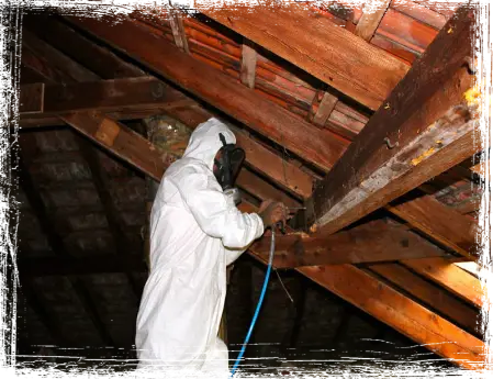 Traitement de termites couvreur Coignières 78310 Yvelines